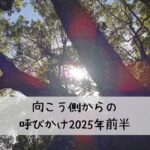 2025年前半